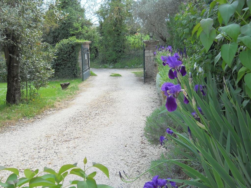 Villa La Badiola à Chiusi Extérieur photo